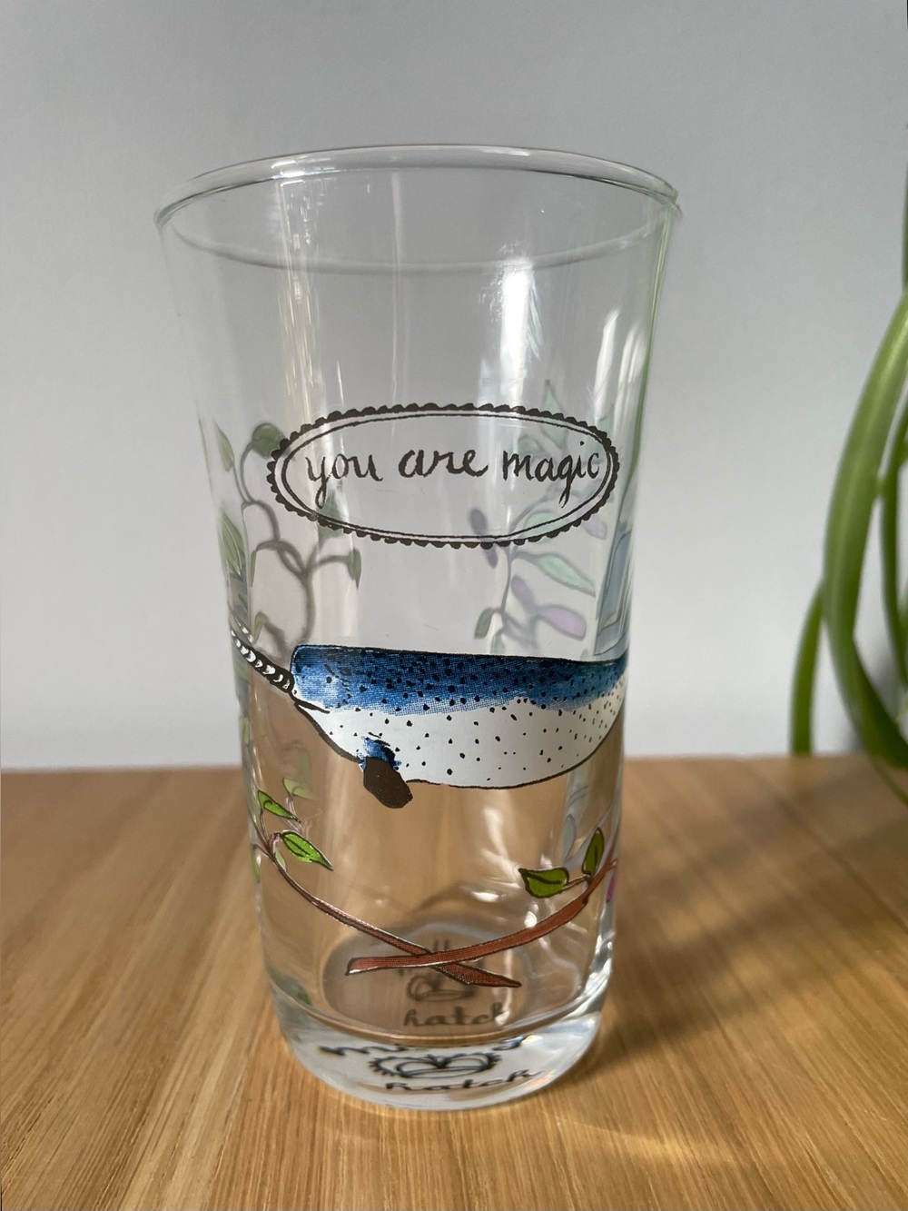 Rare Anthropologie Molly Hatch You Are Magic  Juice Glass NWOT